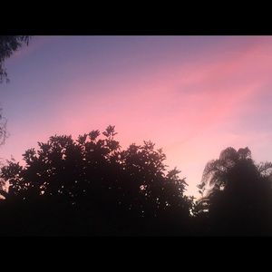 Meet your Posher, Yessica